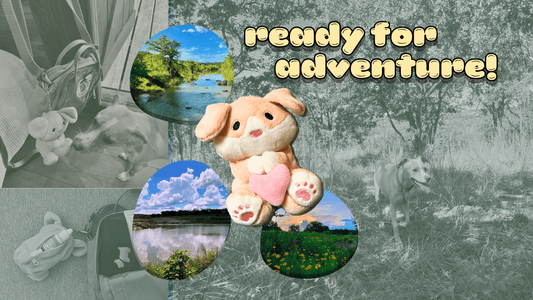 Adventure Ready! How the Sammy Keychain Became My Weekend Essential - iikoshop