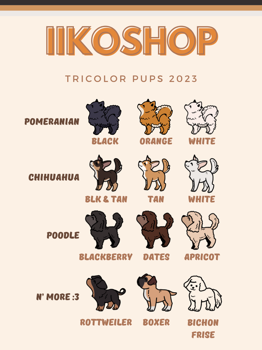 Tricolor Pups - iikoshop