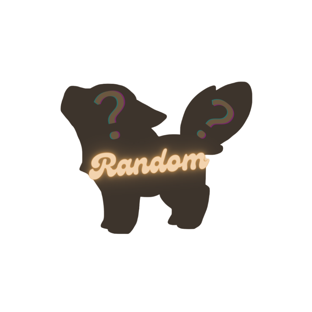 Random Pin