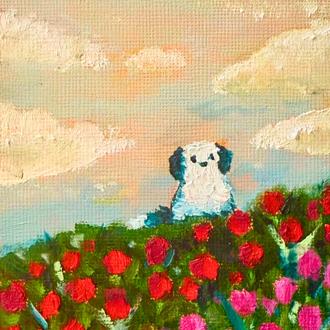 Semper Augustus (Original)