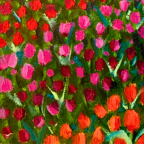 Semper Augustus (Original)