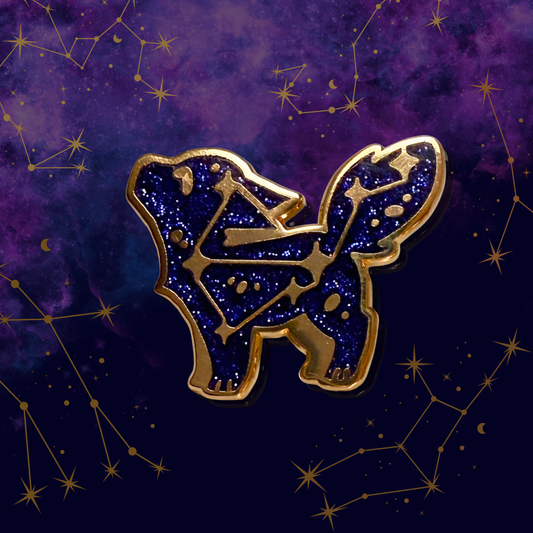 Constellation Pin