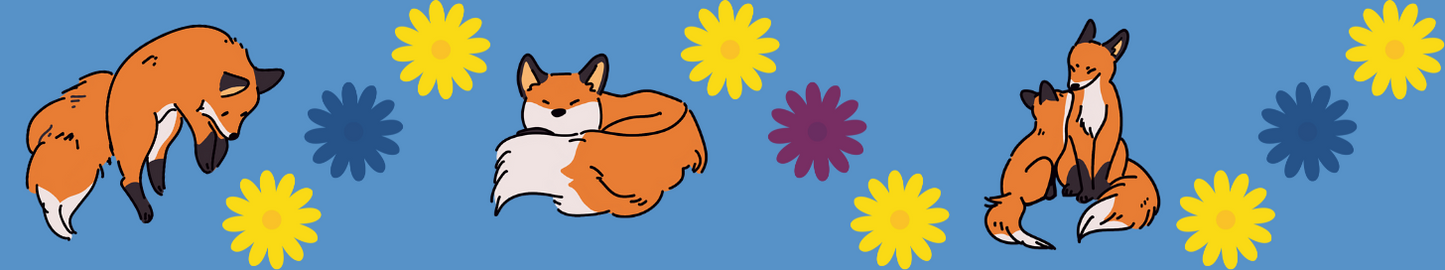 Washi Tapes - Variety