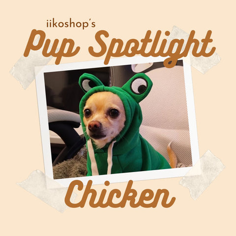 A brave and hungry Chicken - iikoshop