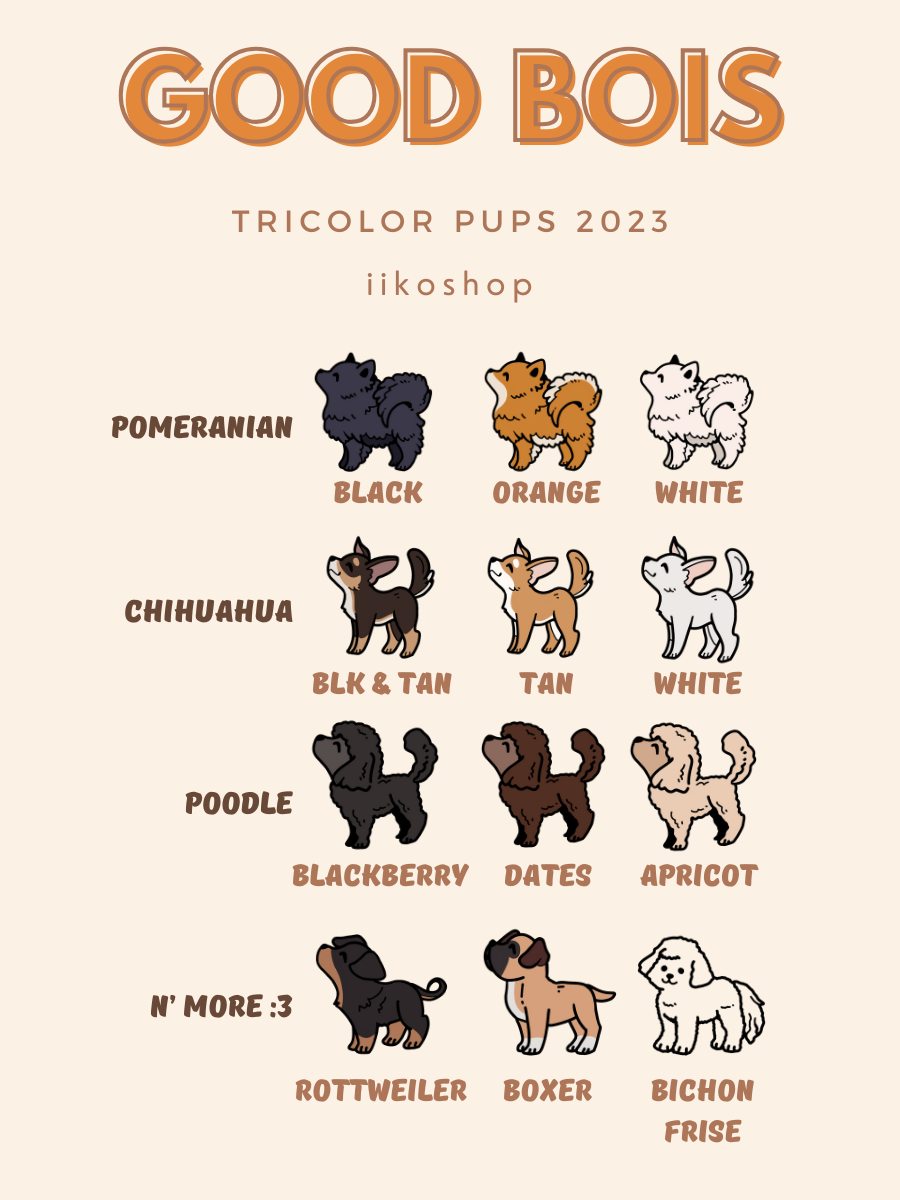 Tricolor Pups