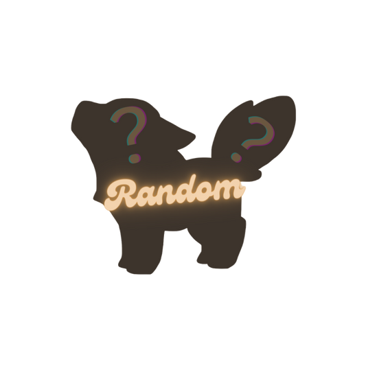 Random Pin