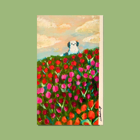 Semper Augustus (Original)