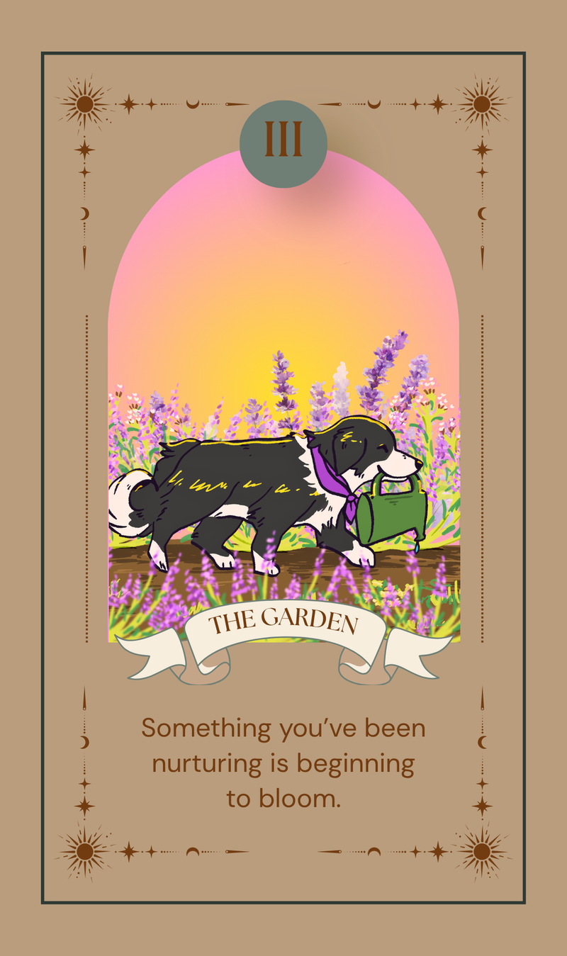 The Garden