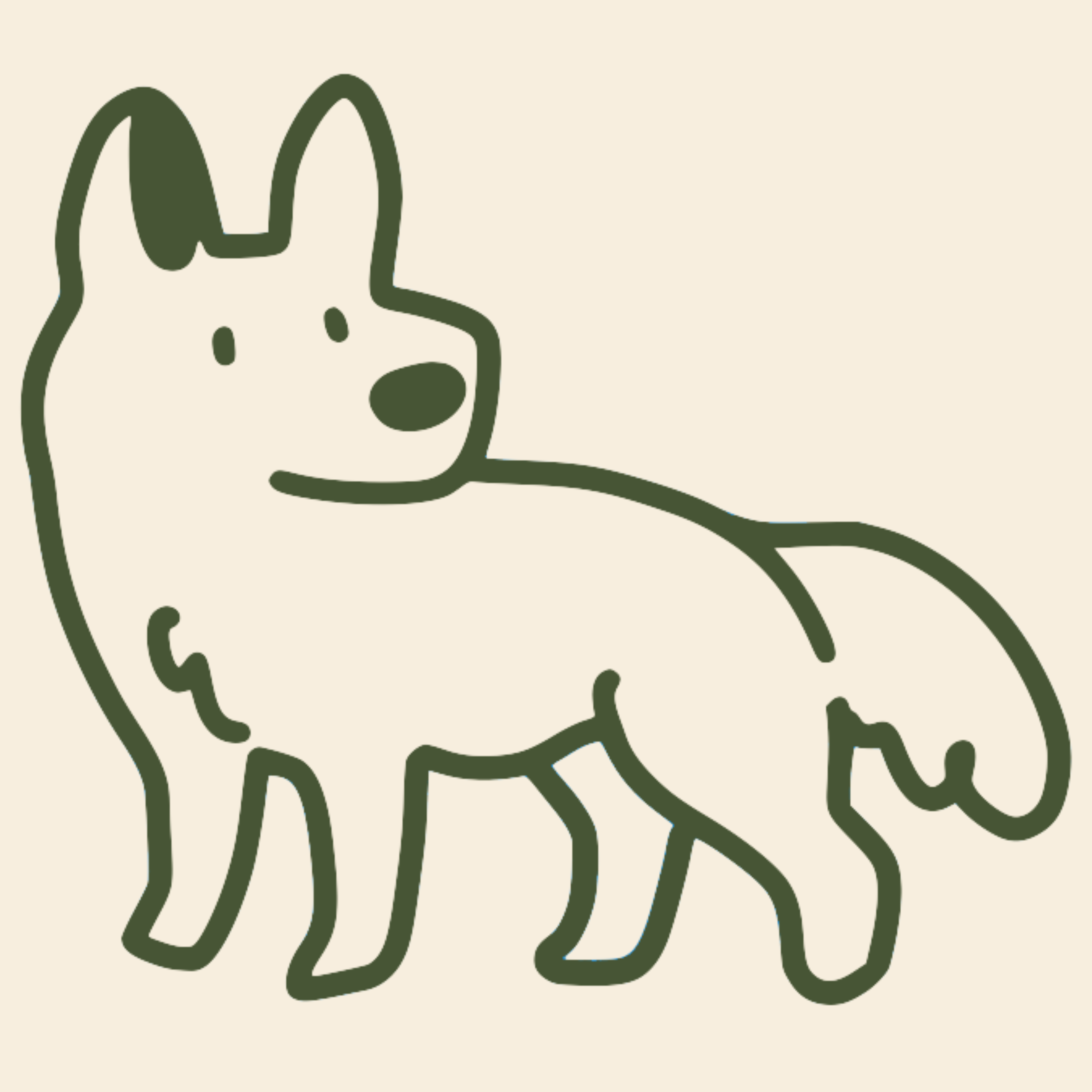 iikoshop