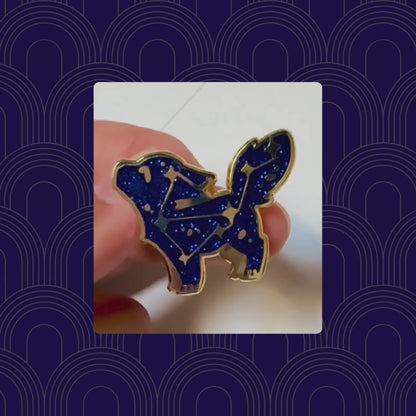 Constellation Pin