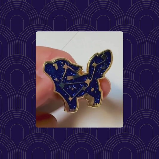 Constellation Pin
